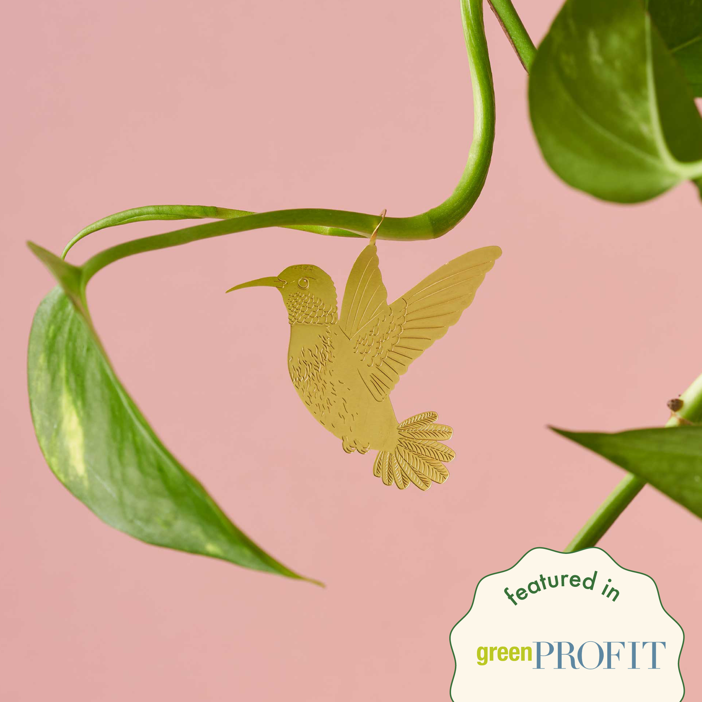 Another Studio Hummingbird Plant Animal decoration
