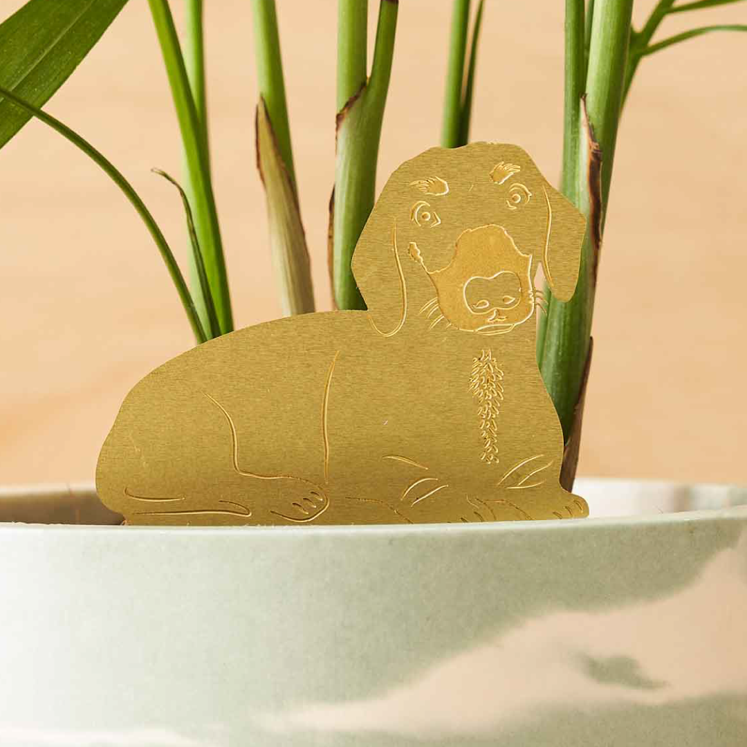 Another Studio Daschund, Plant Animal Pet, pot decoration for dog lovers
