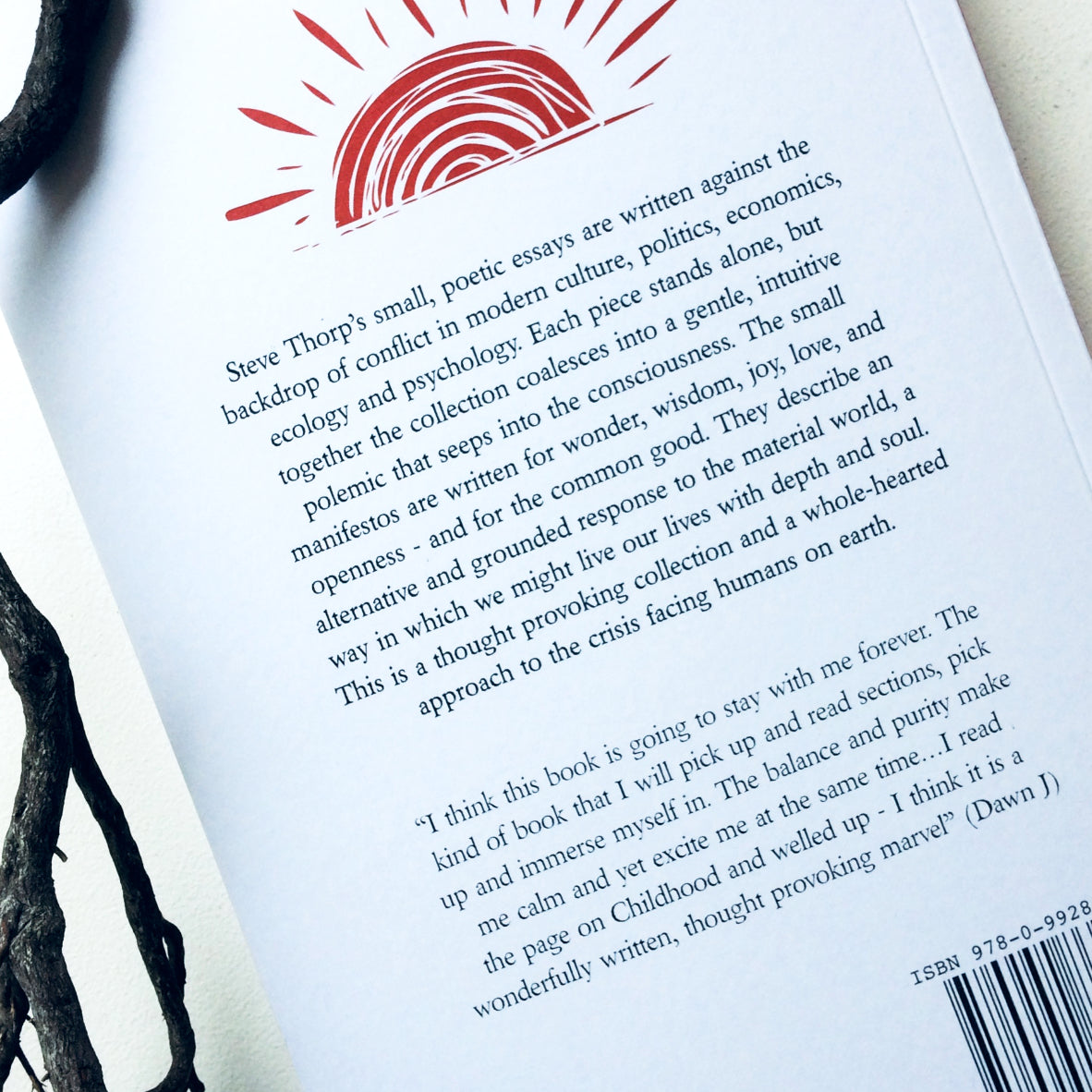 Mary Thorp - Soul Manifestos and Pieces of Joy - Book Steve Thorp Ruth Thorp Raw Mixture Heart Gallery