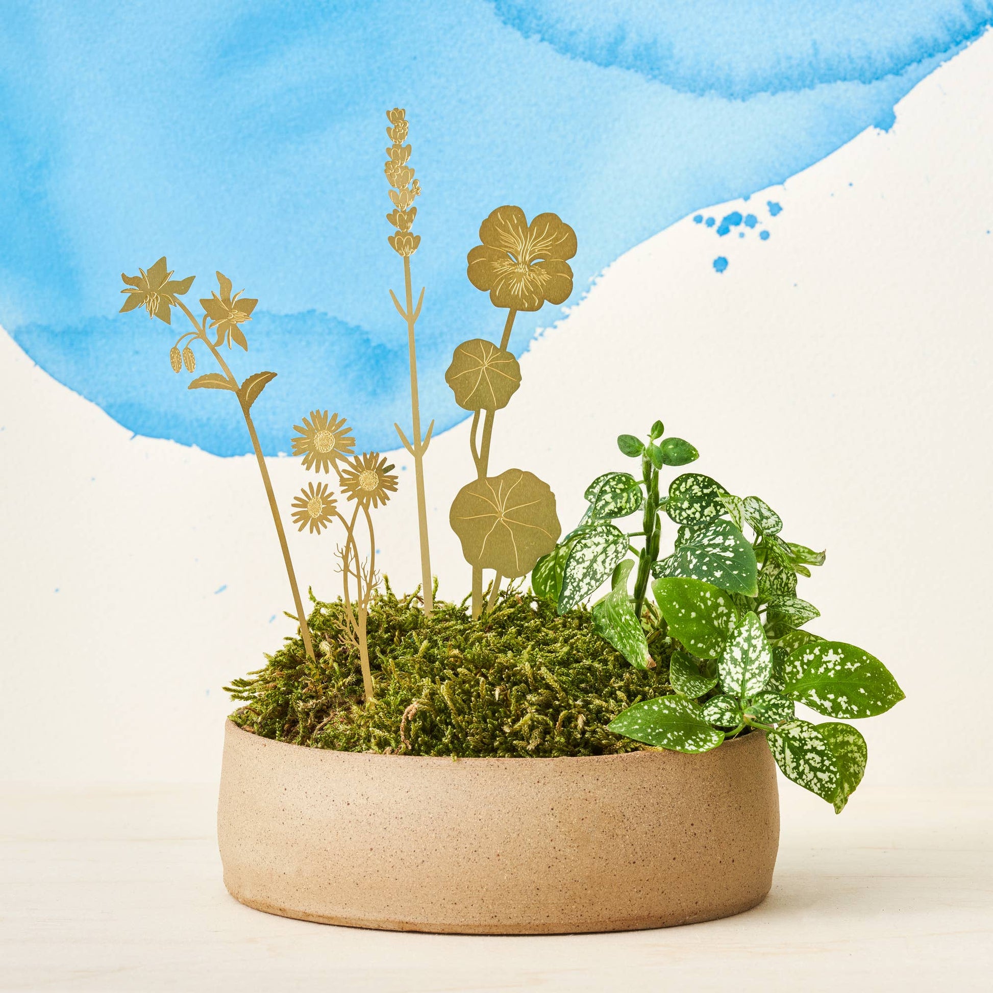 A set of brass plant decorations in the shapes of various flowers to be decorations for your plant pots by Another Studio