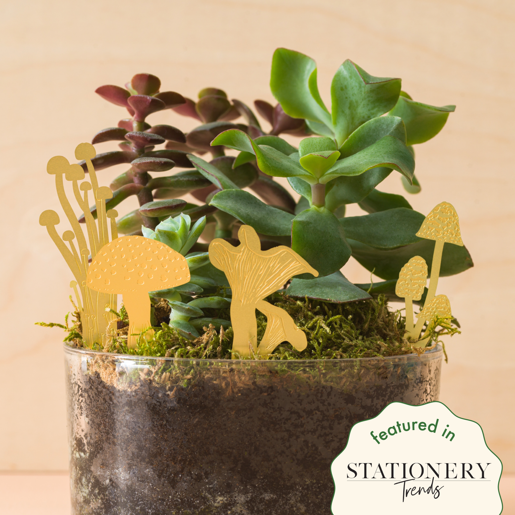 A set of brass mini mushrooms placed in a terrarium, with various types of mushrooms including Fly Agaric, Enoki, Inkcaps, and Chanterelle. Made by Another Studio in London for Heart Gallery