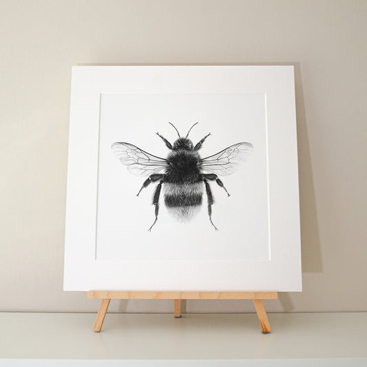 Alec Atherton - Bee limited edition print pencil graphite artwork