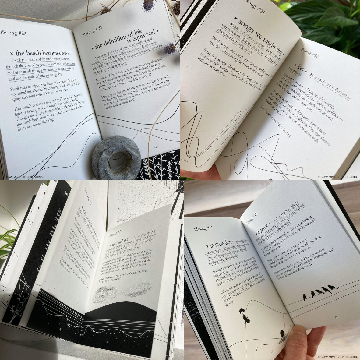 Mary Thorp - Lifesongs- Book poetry Steve Thorp Ruth Thorp Raw Mixture