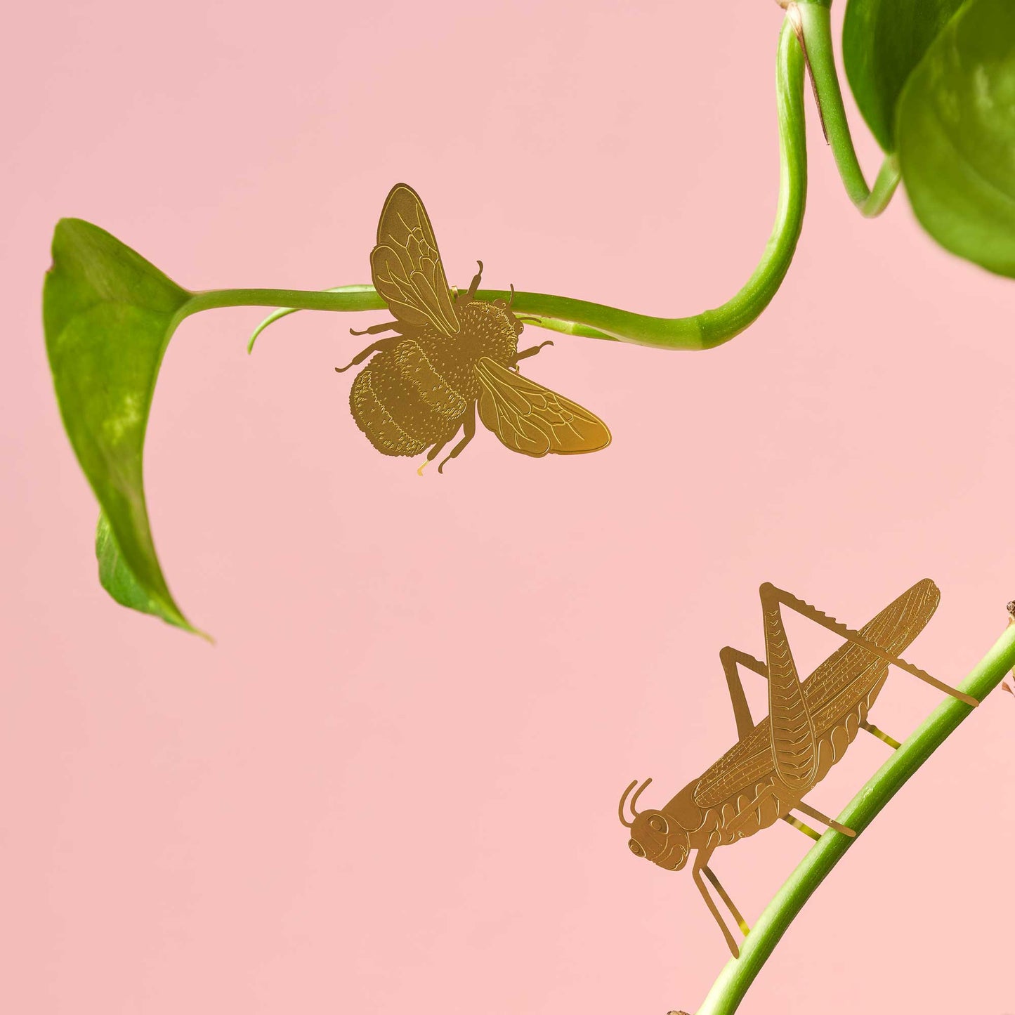 A brass etched grasshopper decoration positioned on a green plant leaf against a beige background.
