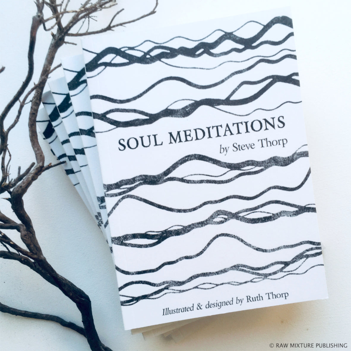 Mary Thorp - Soul Meditations - Book poetry Steve Thorp Ruth Thorp Raw Mixture Heart Gallery mindfulness