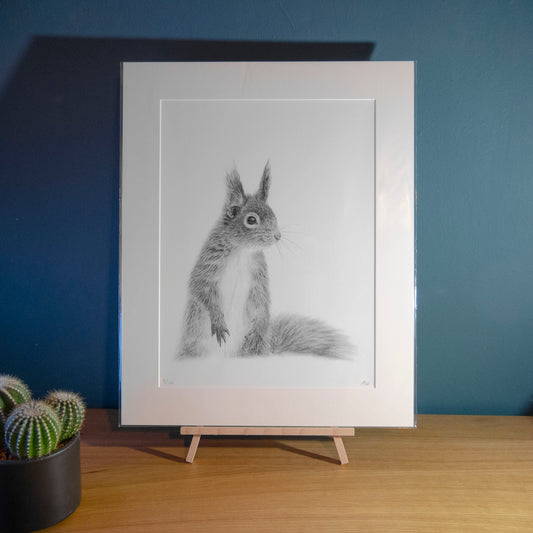 Alec Atherton - Squirrel - limited edition print pencil graphite artwork