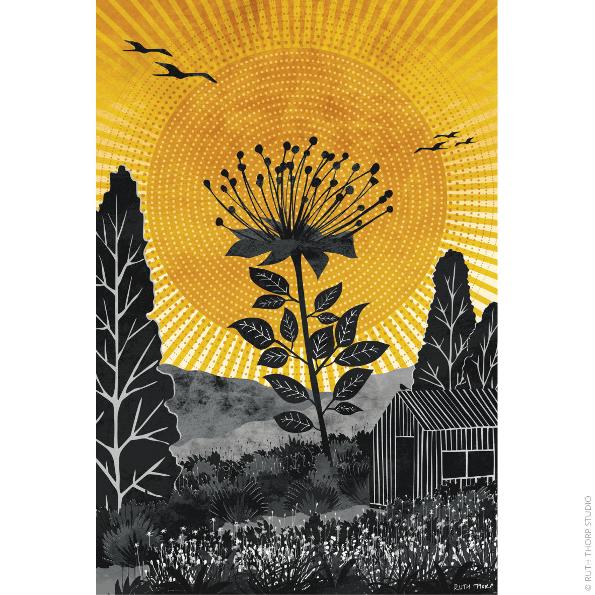 Ruth Thorp - The Tallest Flower - A4 print artwork. This illustrated art print forms part of Ruth’s Journey collection of 6 A4 prints.