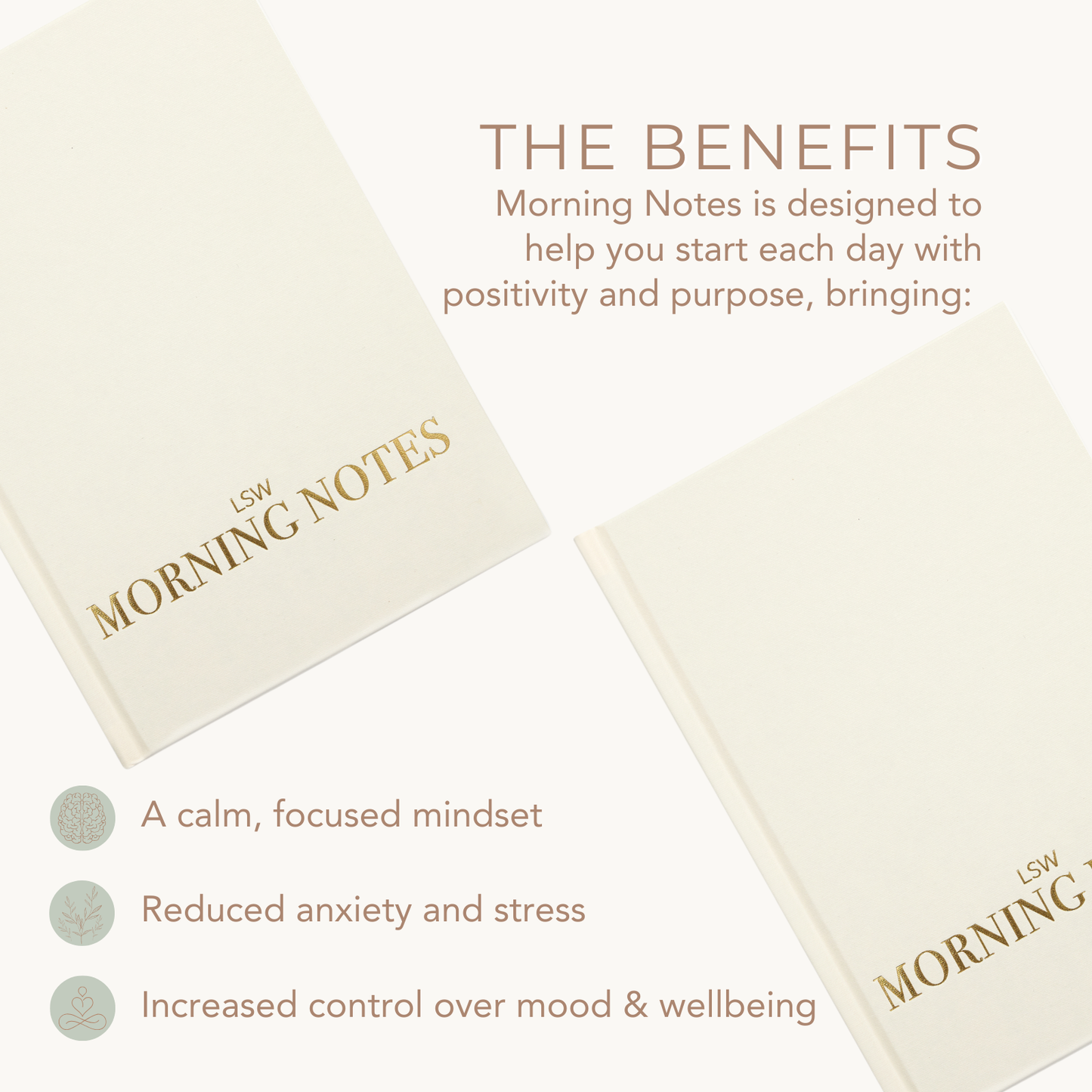 daily gratitude practice with LSW Morning Notes