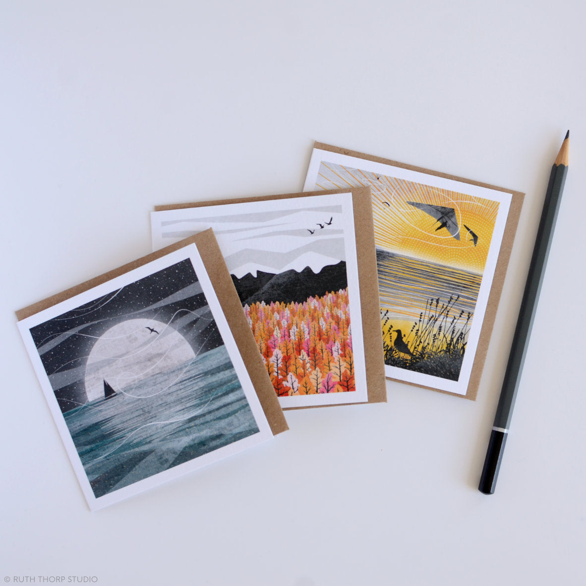 Ruth Thorp - Travel and Adventure - Box of 12 Cards artwork