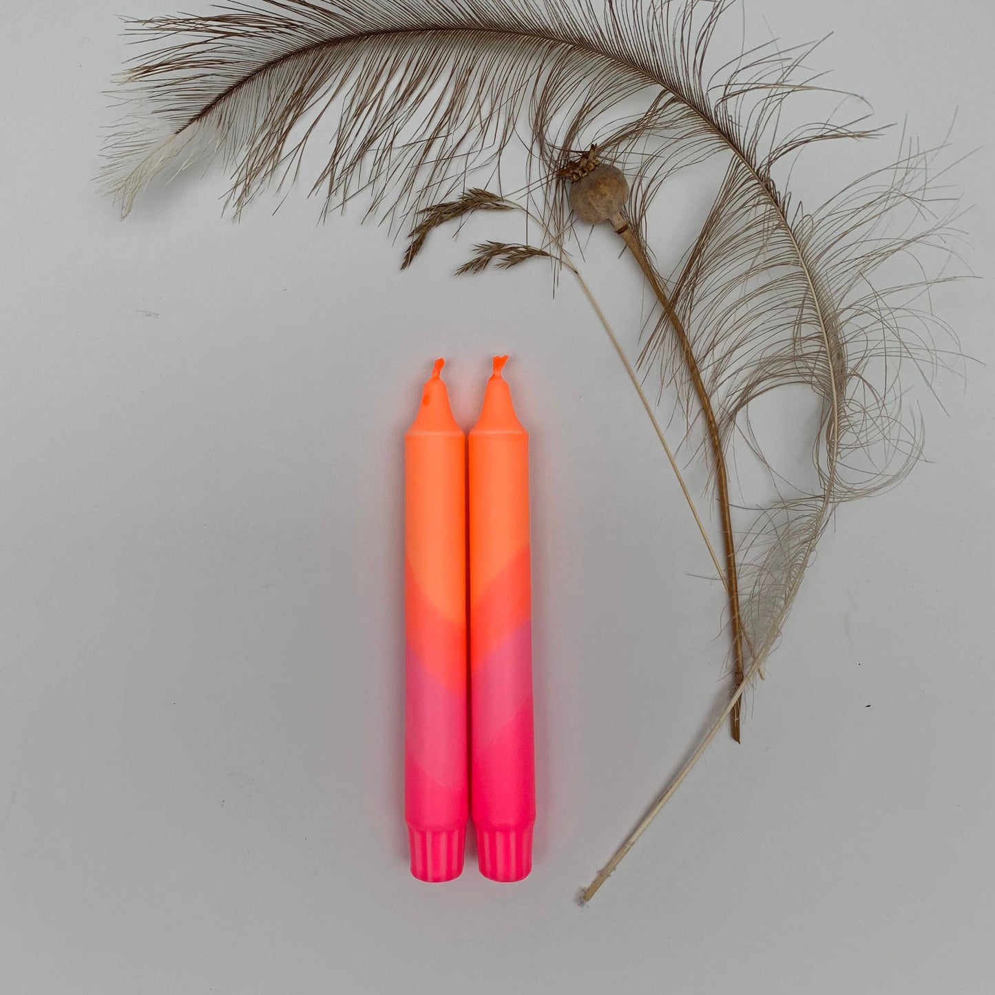 Two pink and orange gradient candles with a dried leaf and feather on a light gray background by The Singing Rabbit