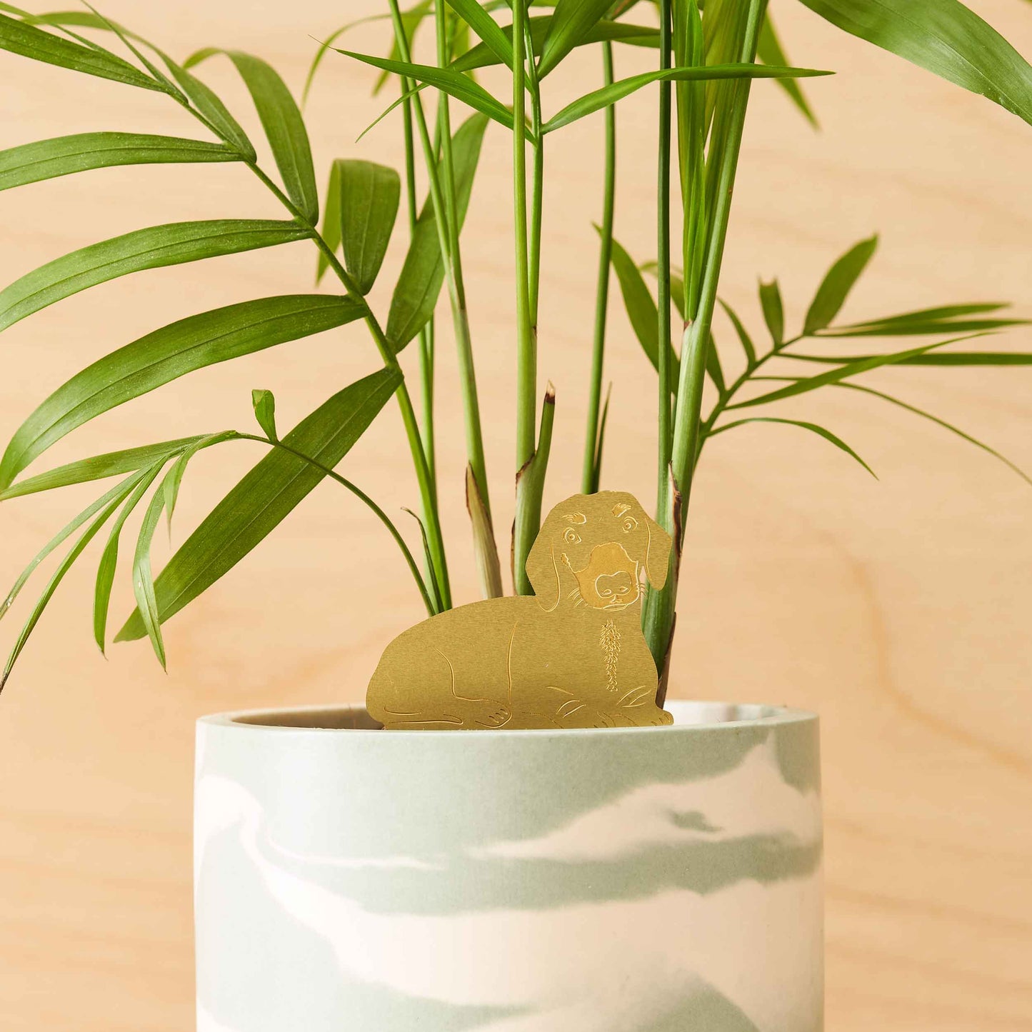 Another Studio Daschund, Plant Animal Pet, pot decoration for dog lovers