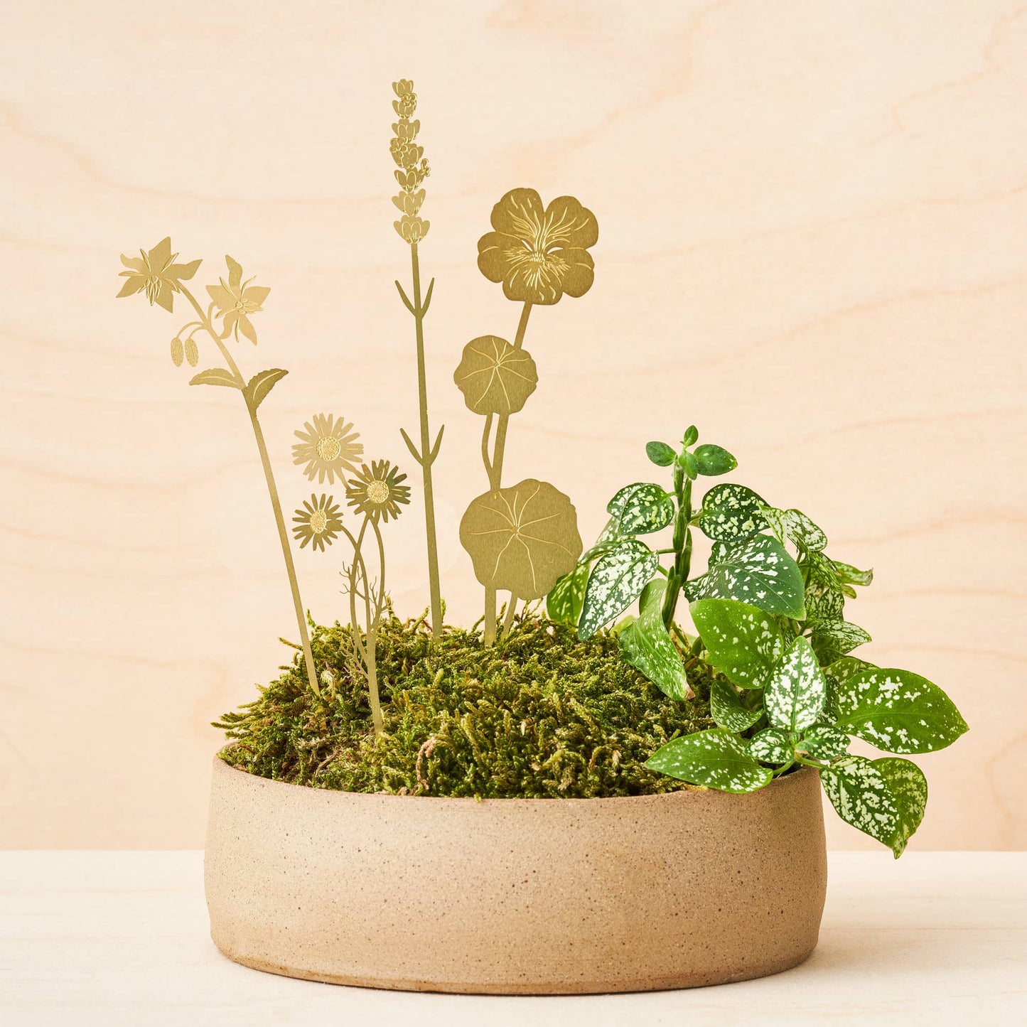 Another Studio - Brass Bloom Herbs plant decoration