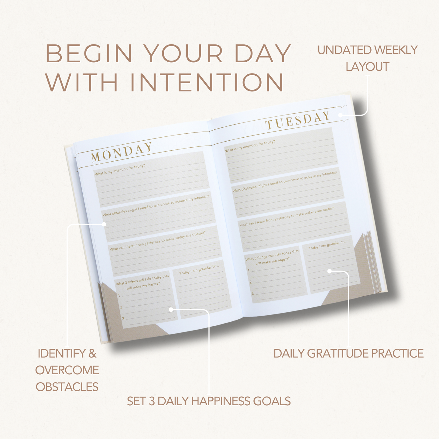 daily gratitude practice with LSW Morning Notes