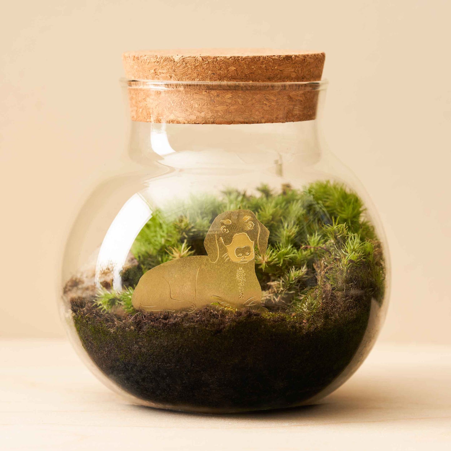 Another Studio Daschund, Plant Animal Pet, pot decoration for dog lovers