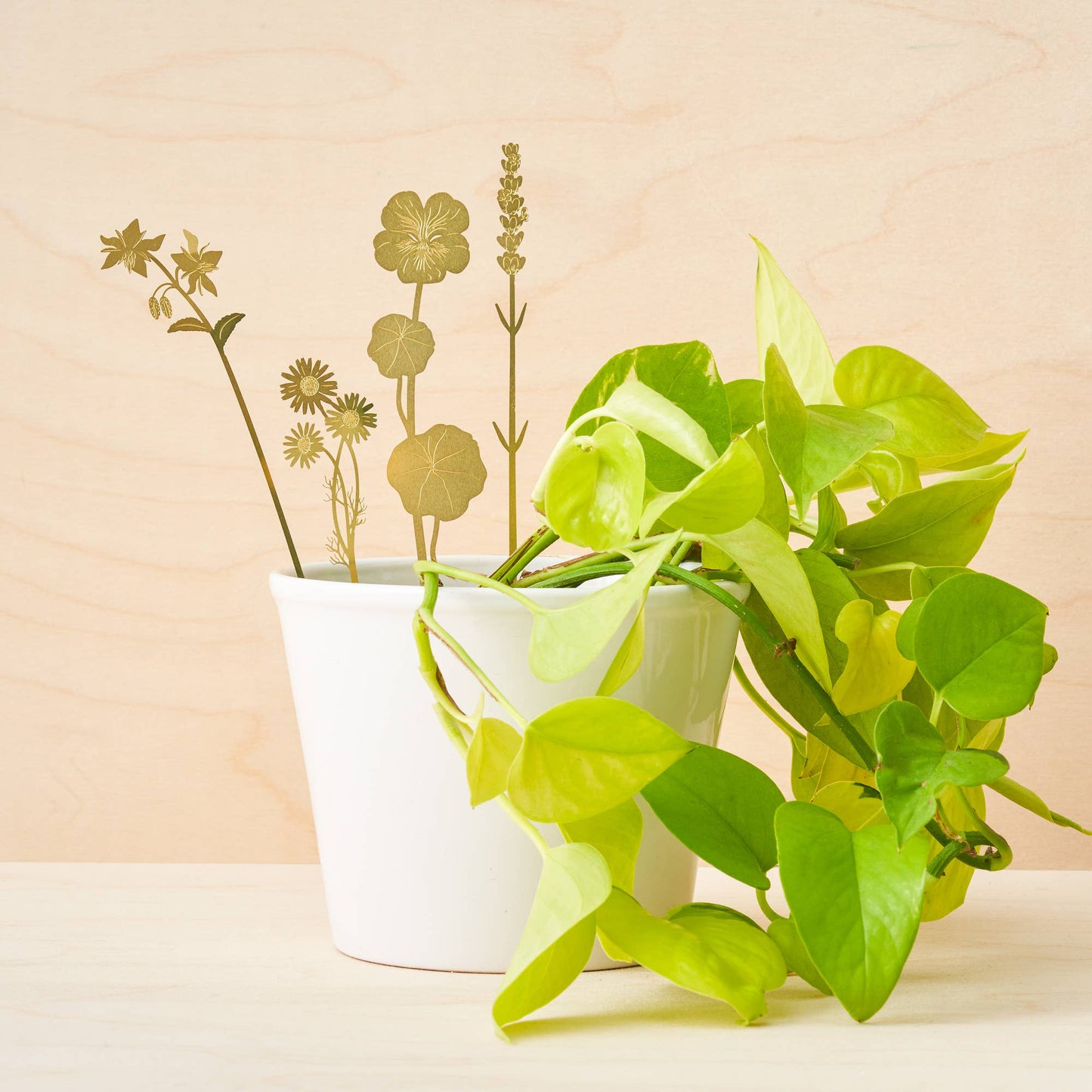 Another Studio - Brass Bloom Herbs plant decoration
