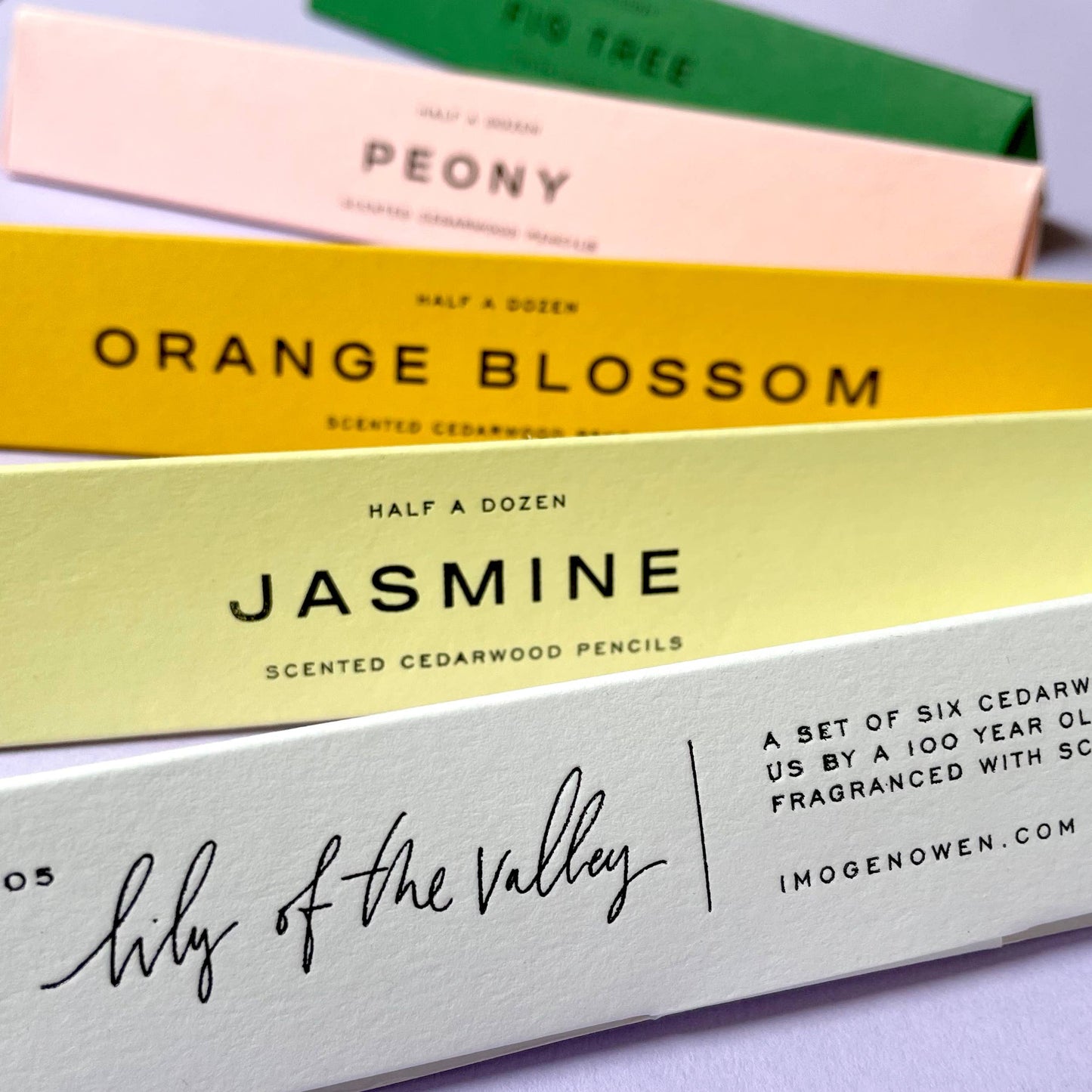 6 Fig Tree scented pencils by Imogen Owen