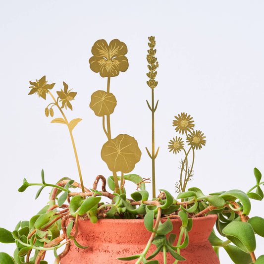 Another Studio - Brass Bloom Herbs plant decoration