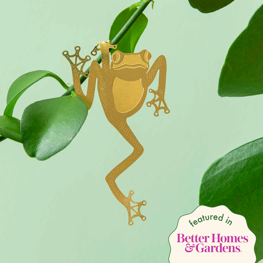 Decorative gold frog with a crown on green leaves against a light green background with 'Better Homes & Gardens' branding.