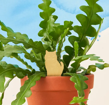 A brass plant pet decoration designed to look like a cat, placed within a potted plant with green leaves.