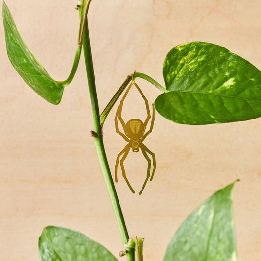 Spider on a green leafy branch with a beige background