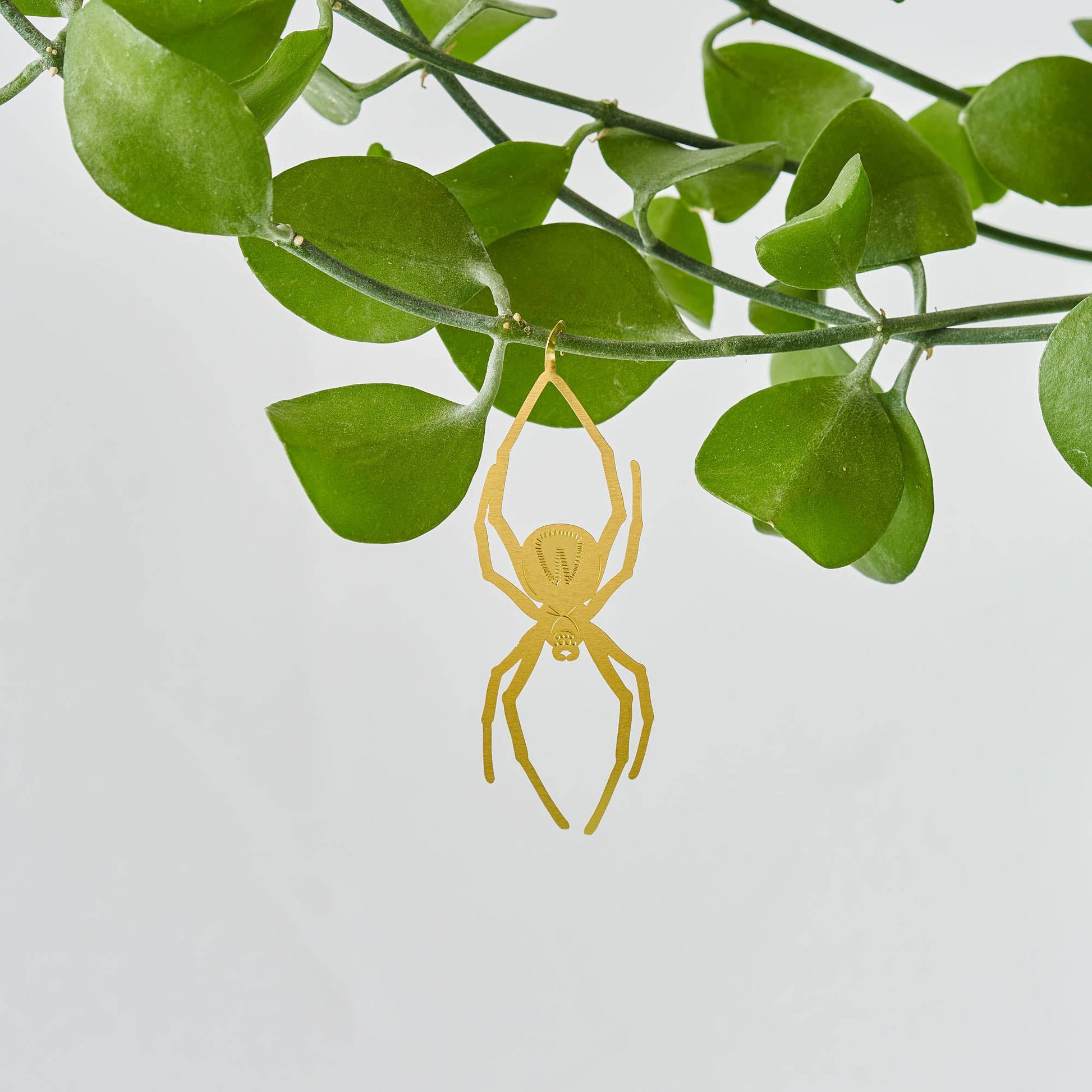 Gold spider-shaped earring hanging from green leaves on a light gray background