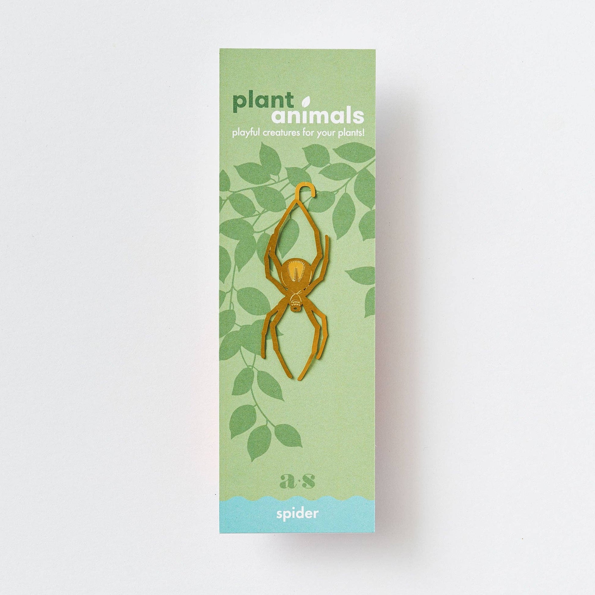 Packaging for a spider plant animal with green leaves on a light gray background