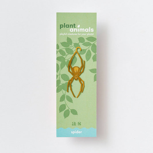 Packaging for a spider plant animal with green leaves on a light gray background