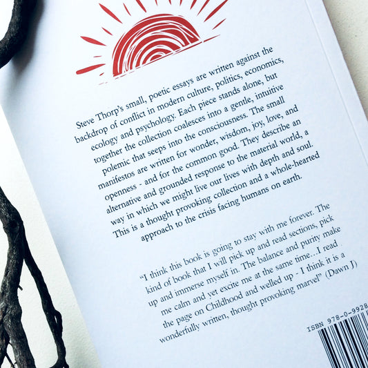 Mary Thorp - Soul Manifestos and Pieces of Joy - Book Steve Thorp Ruth Thorp Raw Mixture Heart Gallery