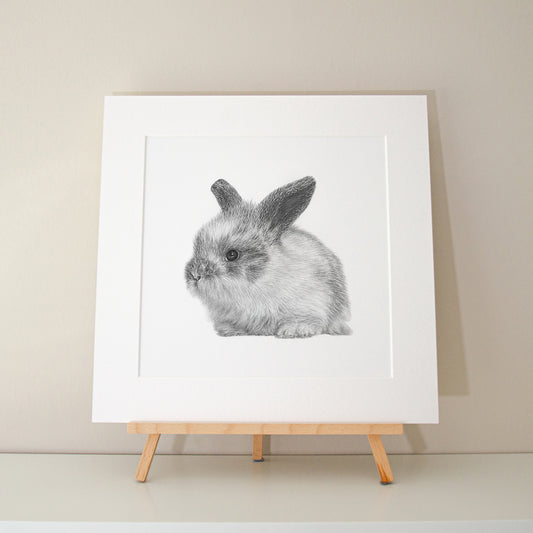 Alec Atherton - Bunny limited edition print pencil graphite artwork