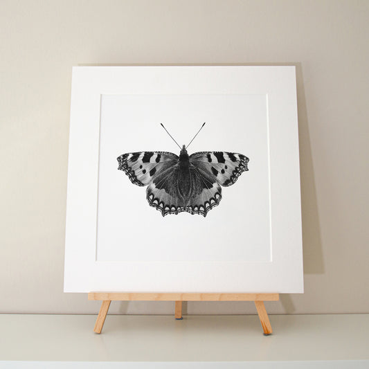 Alec Atherton - Butterfly limited edition print pencil graphite artwork