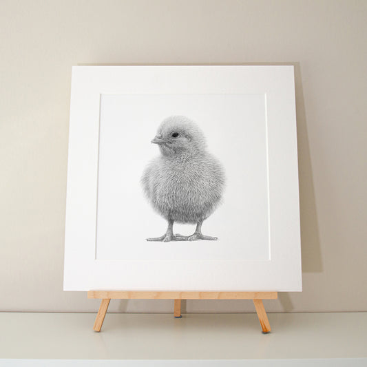 Alec Atherton - Chick limited edition print pencil graphite artwork