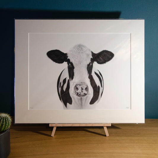 Alec Atherton - Cow - limited edition print pencil graphite artwork