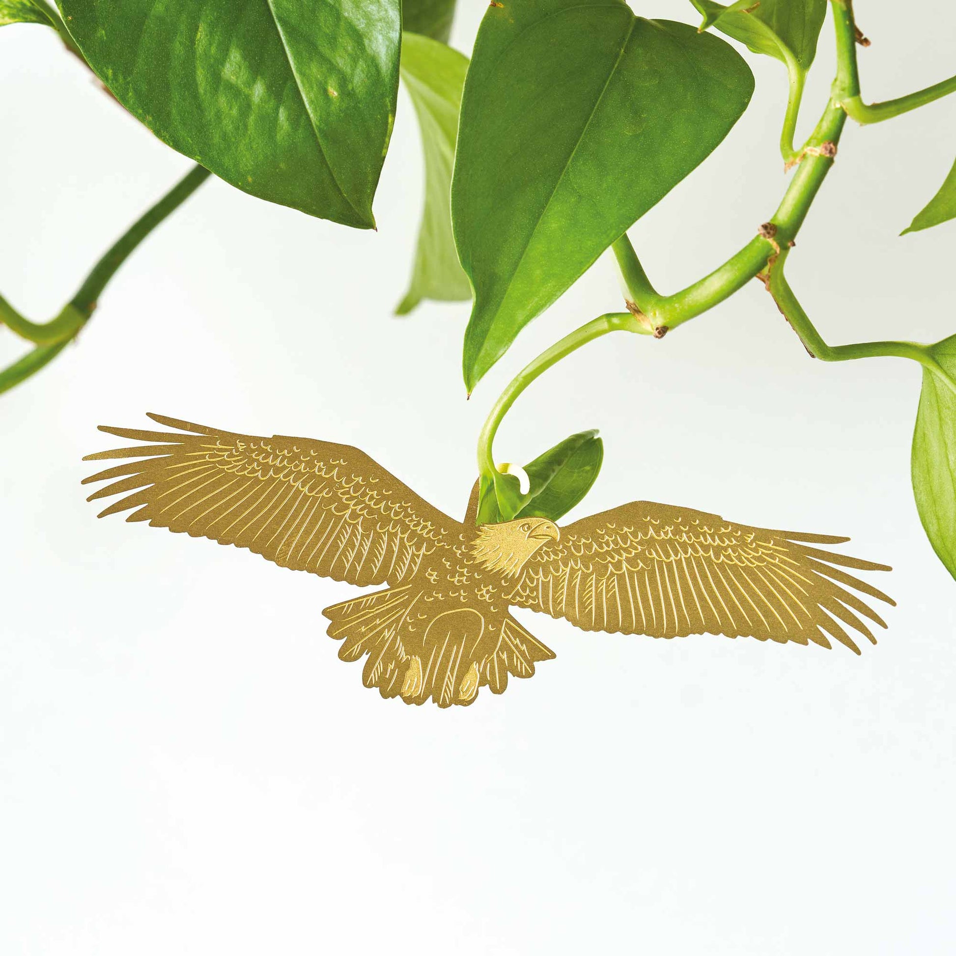A gold-colored brass plant animal in the shape of an eagle, with open wings, positioned among green plant leaves by Another Studio for Heart Gallery