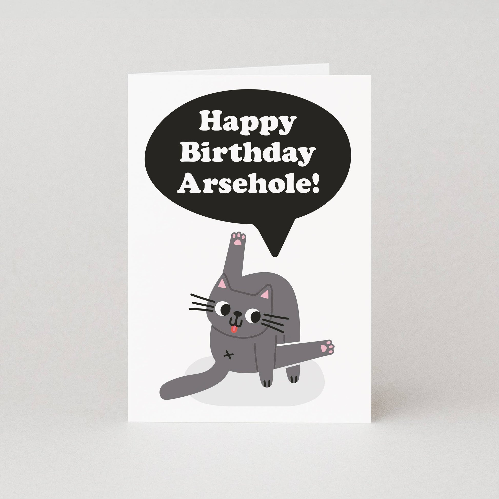Birthday card with a cat and speech bubble saying 'Happy Birthday Arsehole!' on a white background