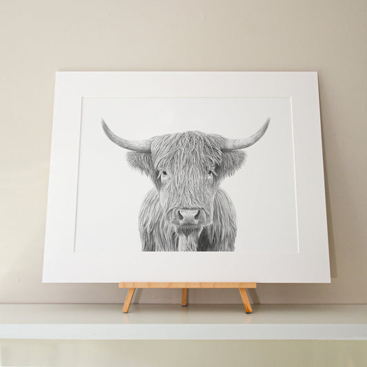 Alec Atherton - Highland Cow- limited edition print
