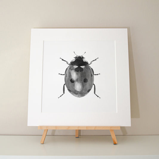 Alec Atherton - Ladybird limited edition print pencil graphite artwork