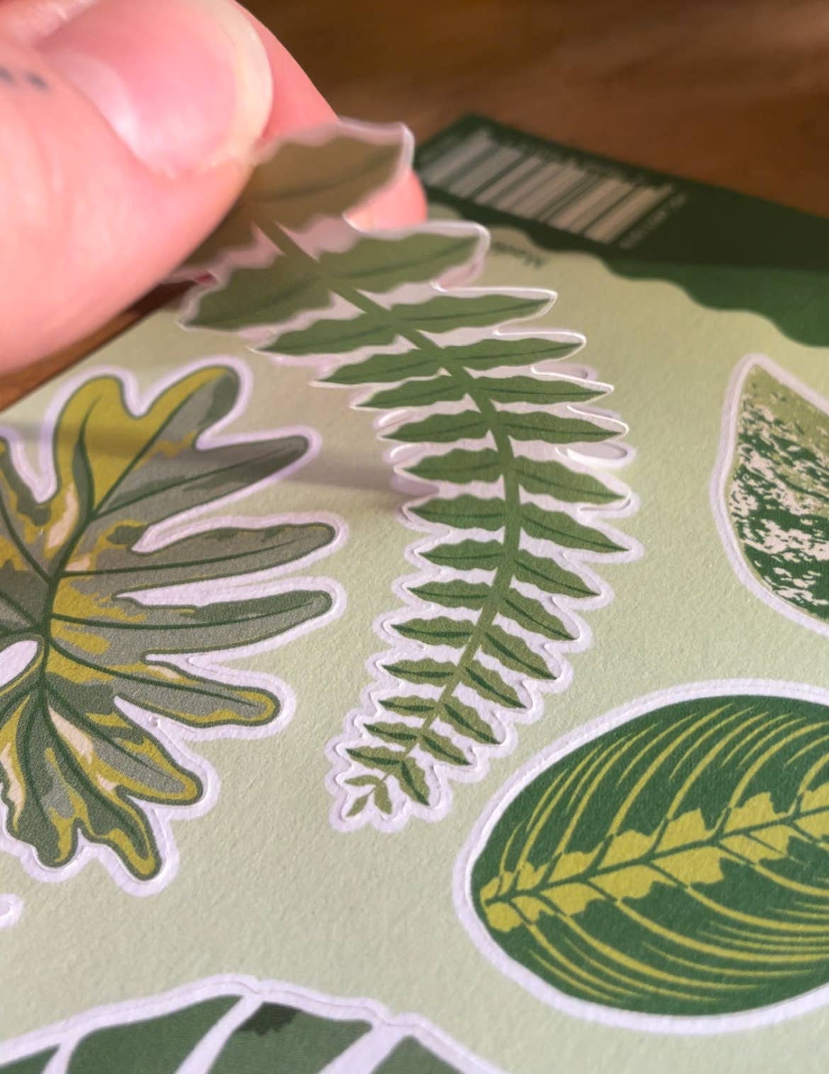 A sheet of various hand-drawn leaf stickers with a matte finish, designed by Another Studio, suitable for decorating surfaces such as notebooks and mirrors.