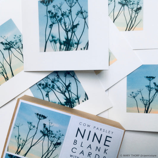 Mary Thorp - Cow Parsley - Box of 9 Cards artwork Heart Gallery art Cards