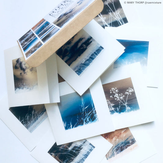 Mary Thorp - West Wind - Box of 9 Cards artwork Heart Gallery