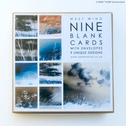 Mary Thorp - West Wind - Box of 9 Cards artwork