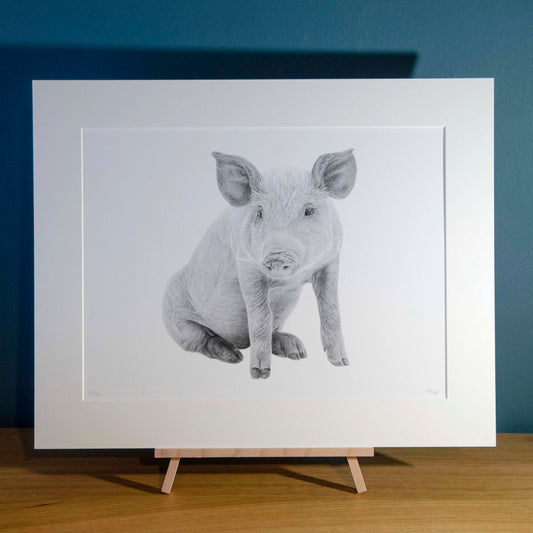 Alec Atherton - Pig - limited edition print pencil graphite artwork