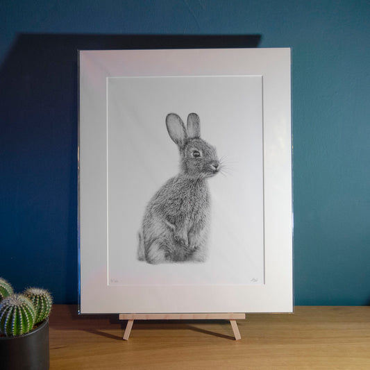 Alec Atherton - Rabbit - limited edition print pencil graphite artwork