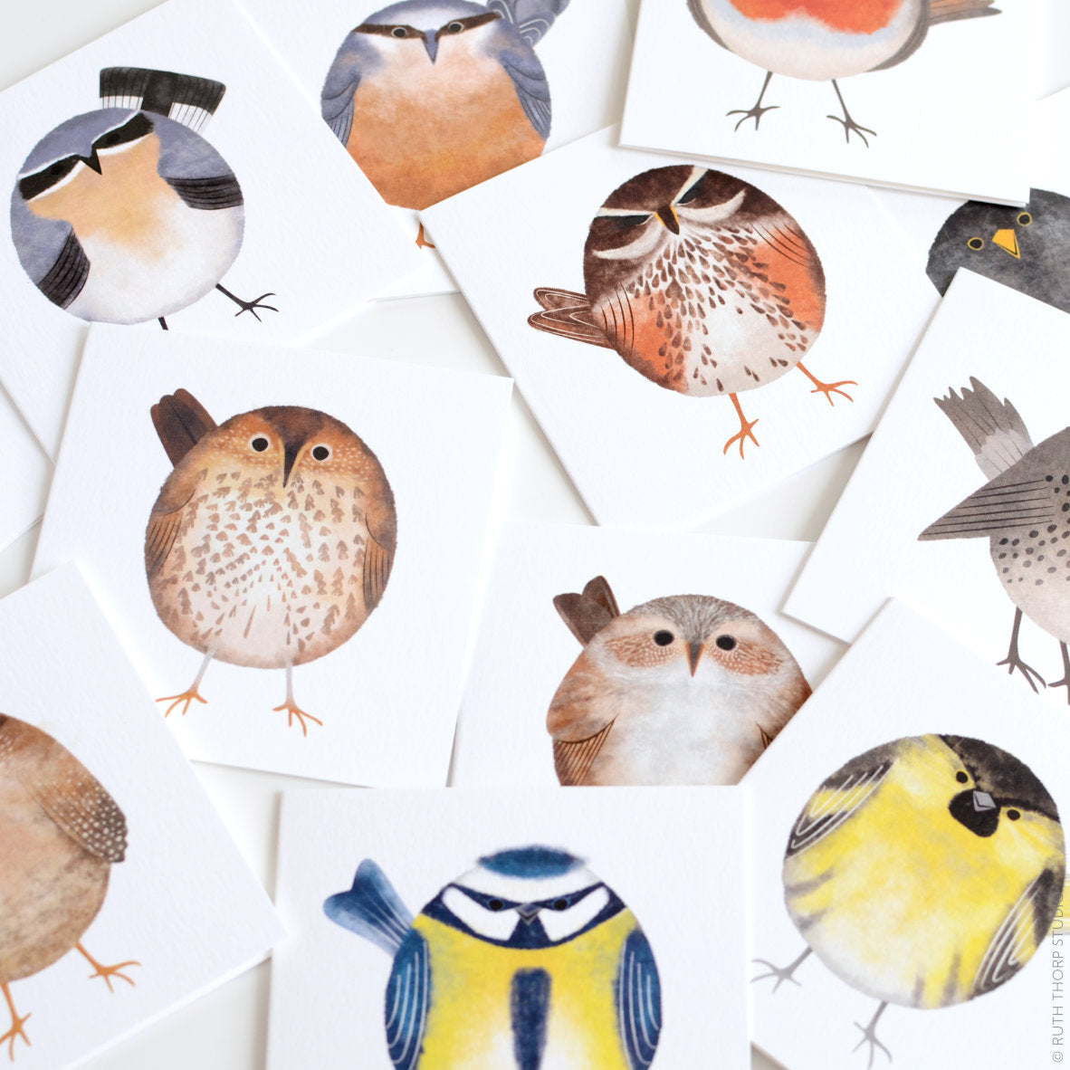 Ruth Thorp - Garden Birds - Box of 12 Cards artwork