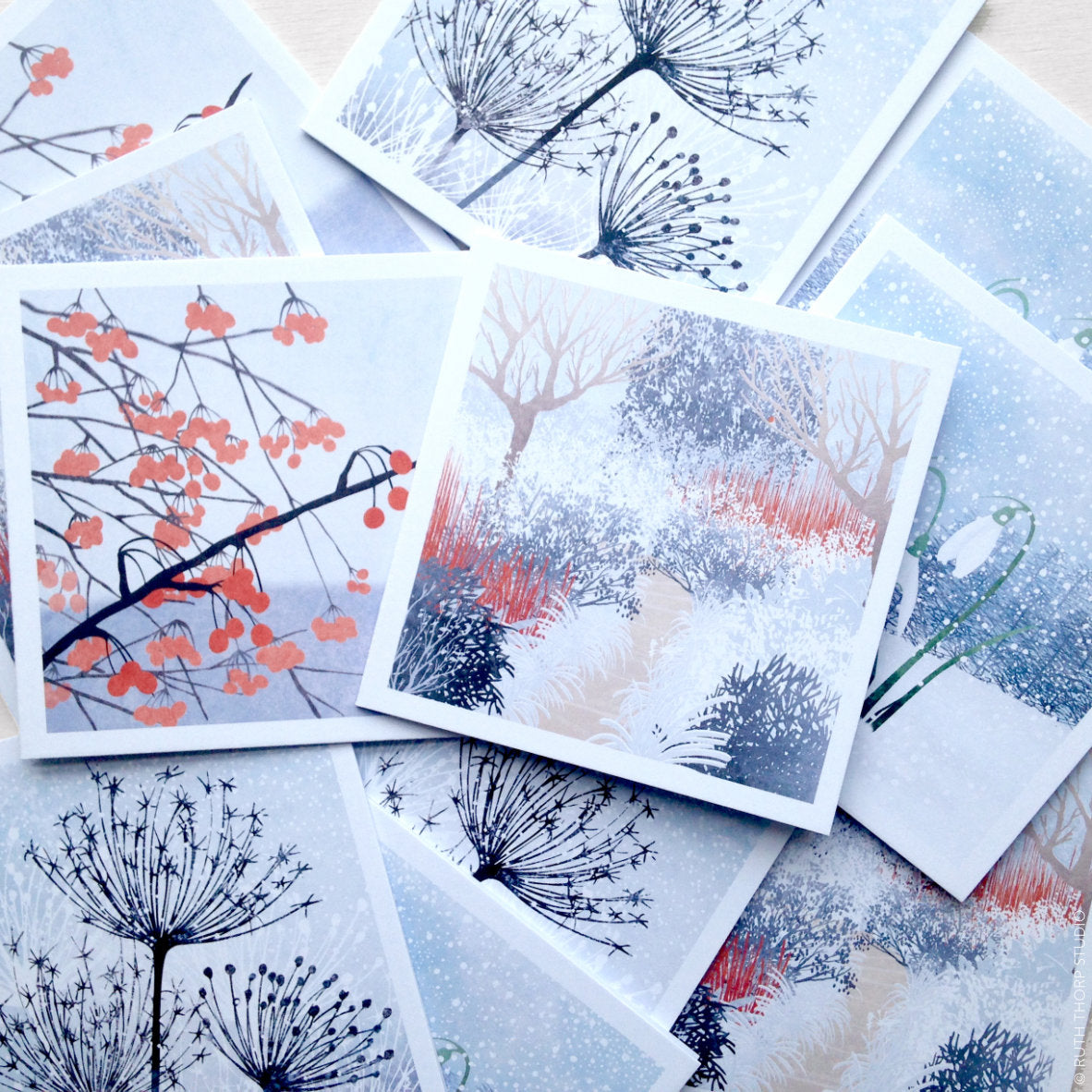 Ruth Thorp - Winter Garden - Box of 12 Cards