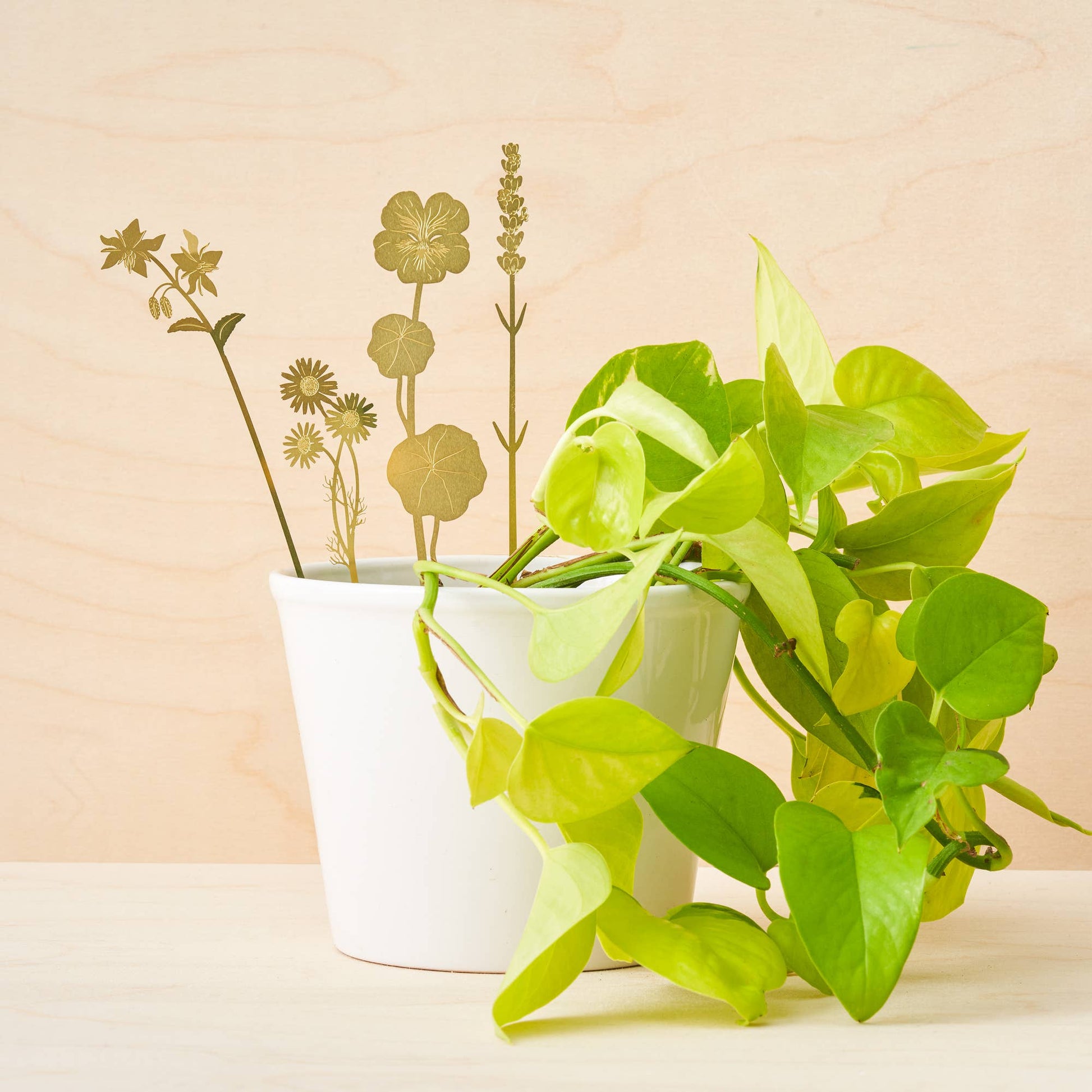A set of brass plant decorations in the shapes of various flowers to be decorations for your plant pots by Another Studio for Heart Gallery