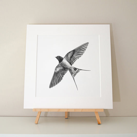 Alec Atherton - Swallow limited edition print pencil graphite artwork