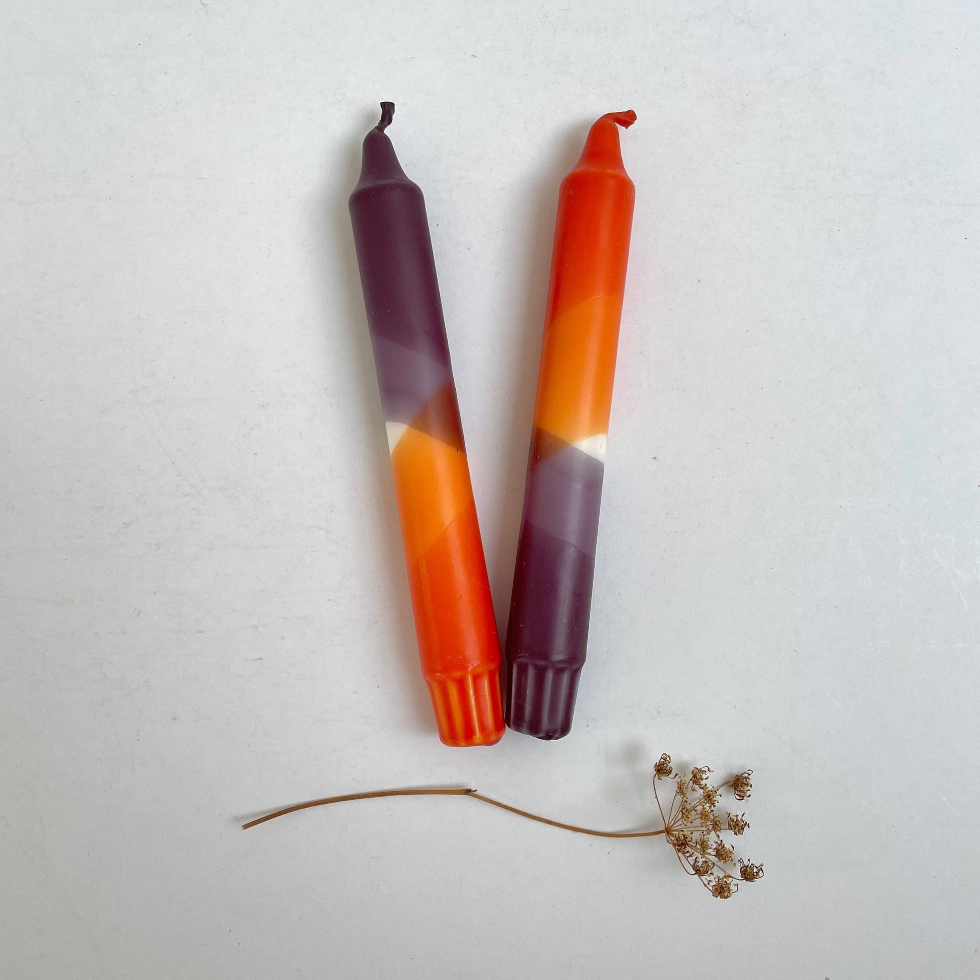 Two gradient candles in aubergine and rust red on a white background with a small plant stem by The Singing Rabbit for Heart Gallery