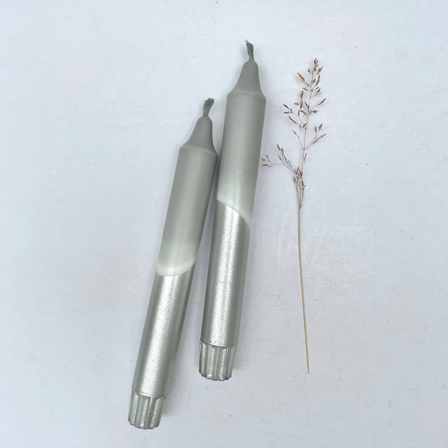 Two grey and silver candles on a white background with a small plant.
