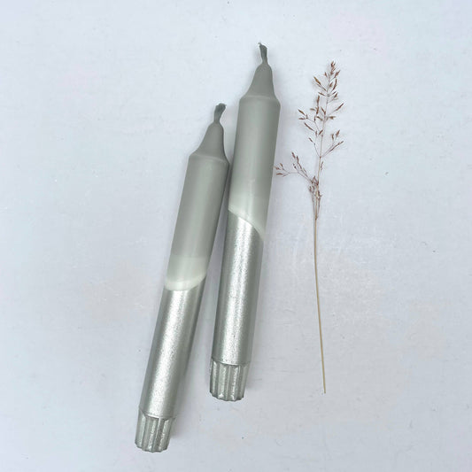 Two grey and silver candles on a white background with a small plant.