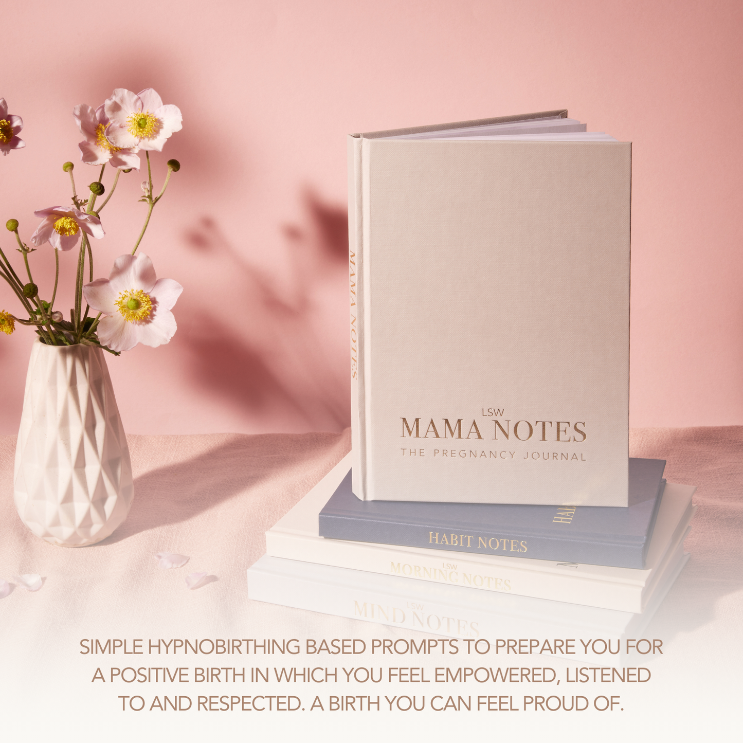 LSW Mama Notes: Pregnancy Journal for Positive Birth